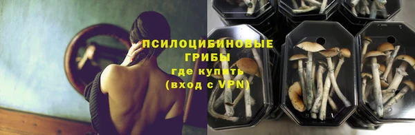 ALPHA PVP Ельня