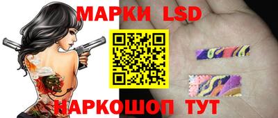 мдпв Донской