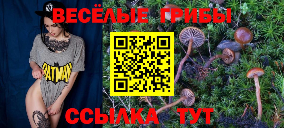 Псилоцибиновые грибы Psilocybine cubensis Ефремов