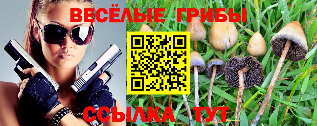 Псилоцибиновые грибы Psilocybe  Галлюциногенные грибы MAGIC MUSHROOMS  Вход с VPN  Ефремов 