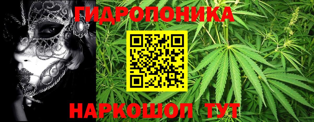 Канабис планчик  Конопля индика  Бошки Шишки тримм  Ефремов  Вход с VPN 